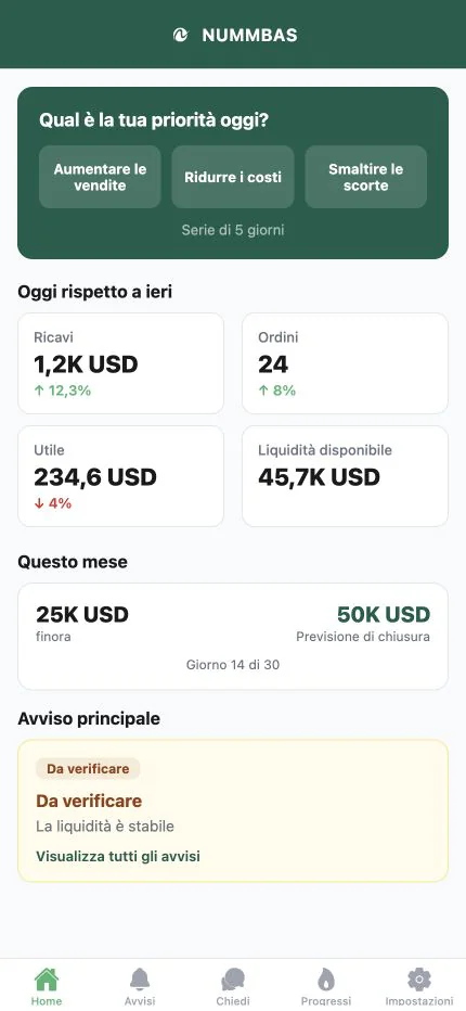 Dashboard dell'app mobile Nummbas che mostra l'attenzione odierna e le prestazioni aziendali